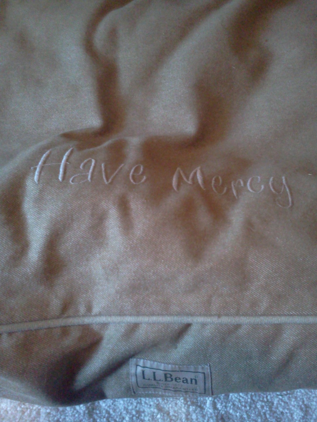 Aug20_HaveMercy