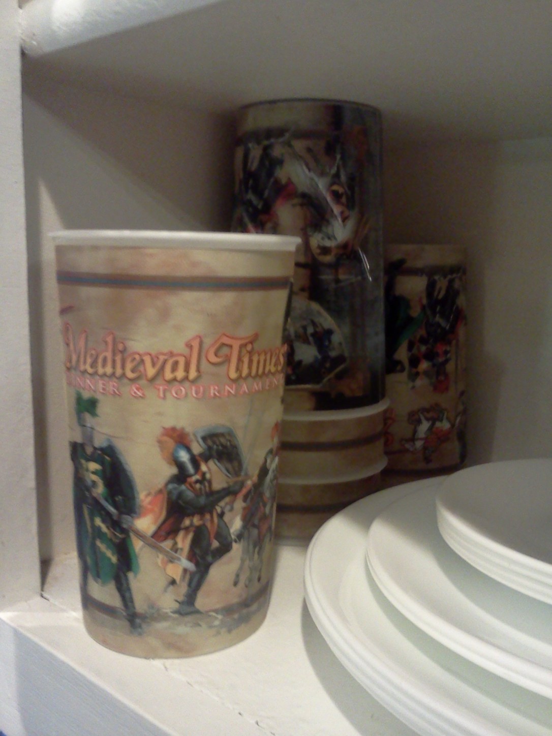 Aug20MedievalTimes