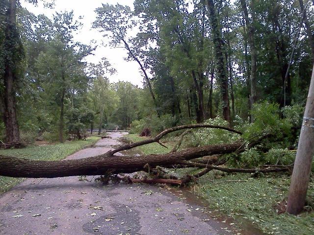 Irene_Damage