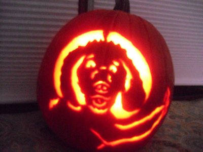 Like this, only, you know, for you, instead of my dog, Uncle Jesse, (this is him cheating while playing Uno).