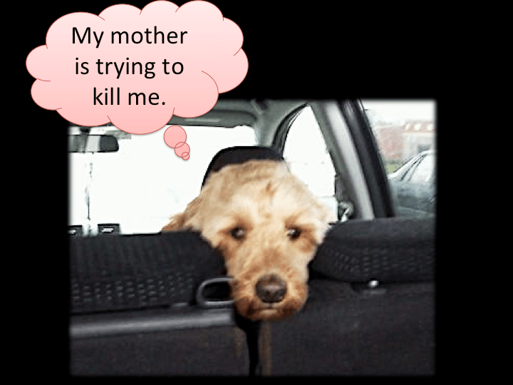 Slide01