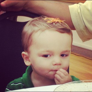 Scorpion-Nephew-8Sep12