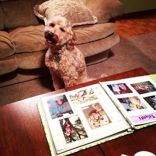 Lori-bday-album-open