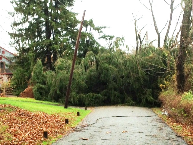 Hurricane-Sandy-GoJulesGo-down-tree-neighbor
