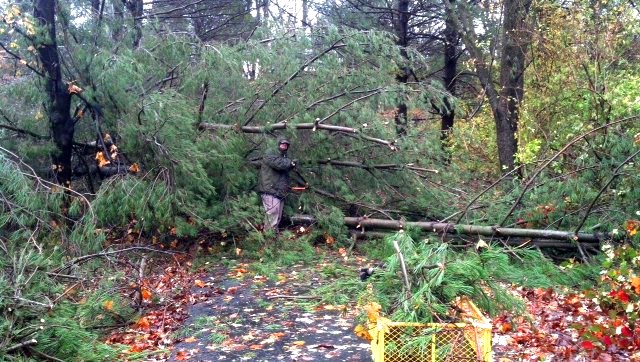 Hurricane-Sandy-GoJulesGo-driveaway-cleanup