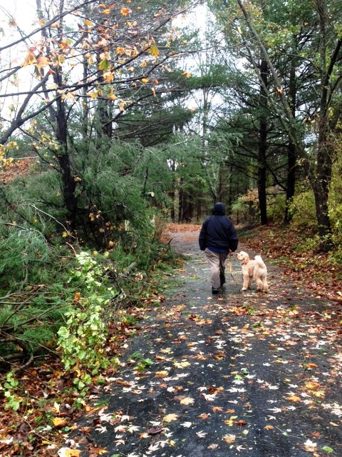 Hurricane-Sandy-GoJulesGo-driveway-UncleJ