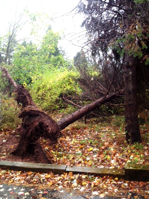 Hurricane-Sandy-GoJulesGo-driveway2