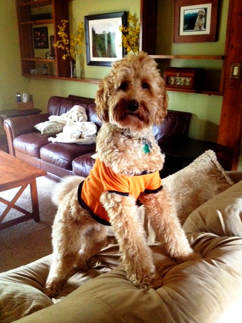 Hurricane-Sandy-GoJulesGo-UncleJ