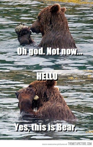 funny-bear-talking-phone