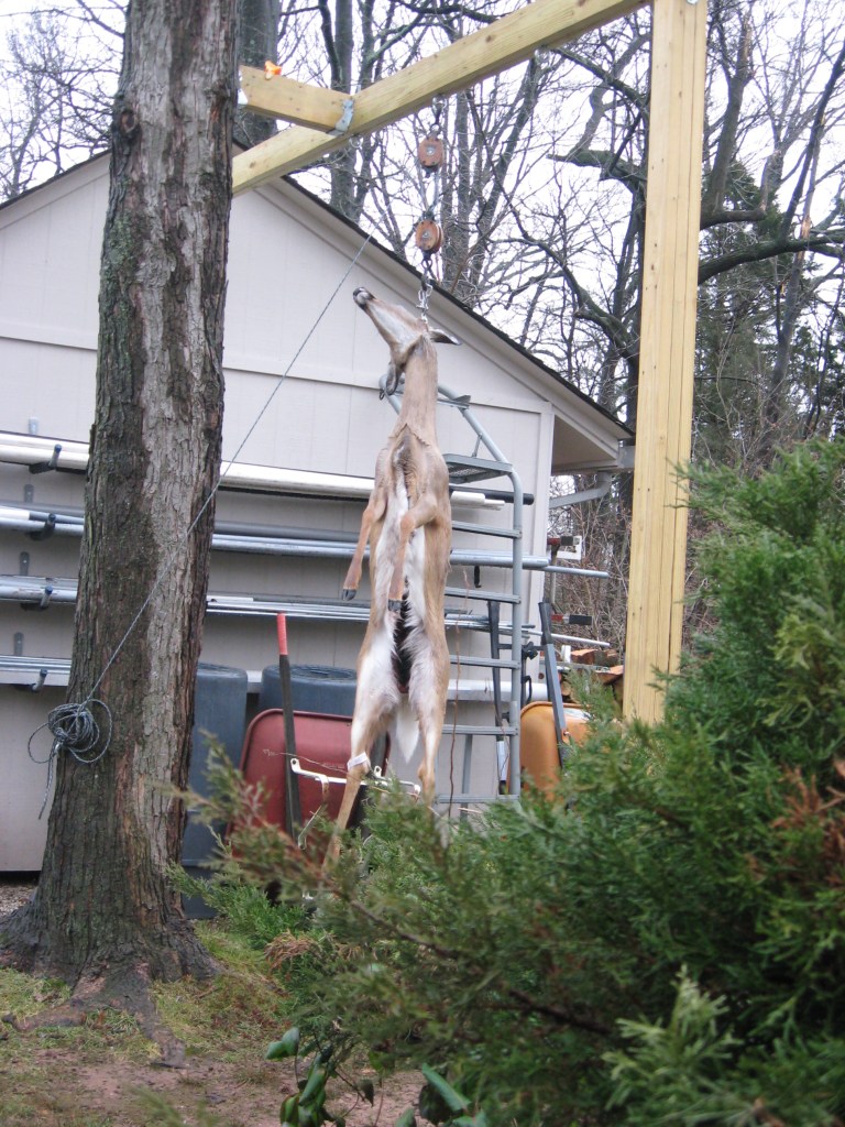 Gallows occupied 1-13 003