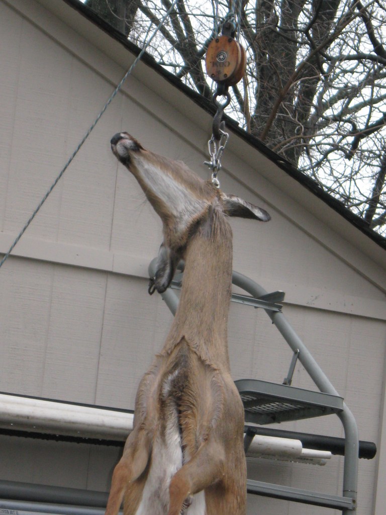 Gallows occupied 1-13 004