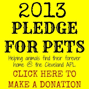 2013-pledge-for-pets-button