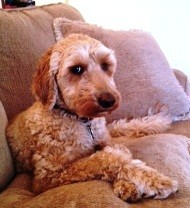 Okay maybe a little.