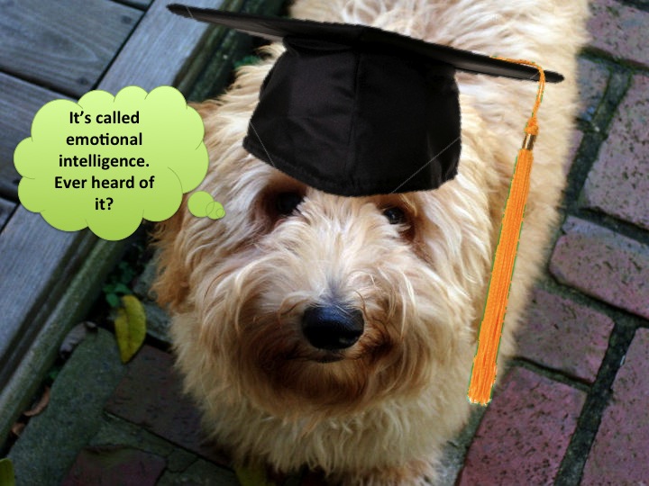 Dogs-vs-Babies-Uncle-Jesse-scholar