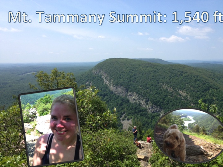 Hike-14-summit