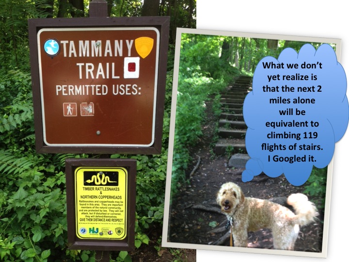 Hike-5-Tammany-trailhead