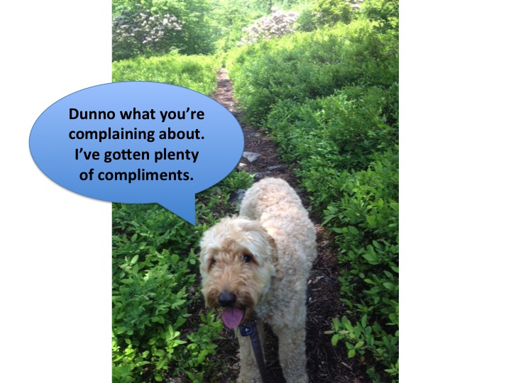 Hike-9-handsome-Uncle-Jesse