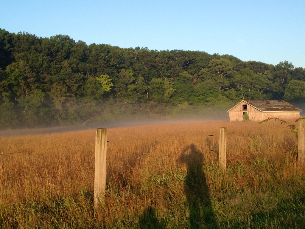 early-am-walk-shadow-2013