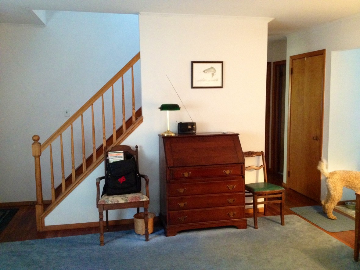 LongIsland-wall-BEFORE