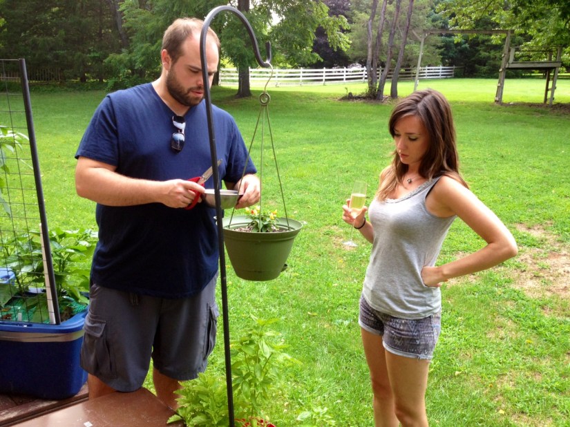 Peppermeister-roulette-picking-peppers-2