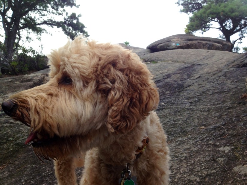 UncleJesse-highlands-hike-2013