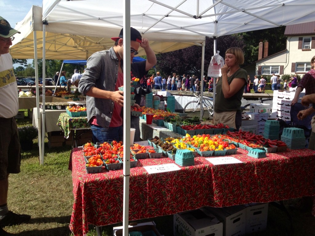 Pepper-fesitval-colorful-peppers