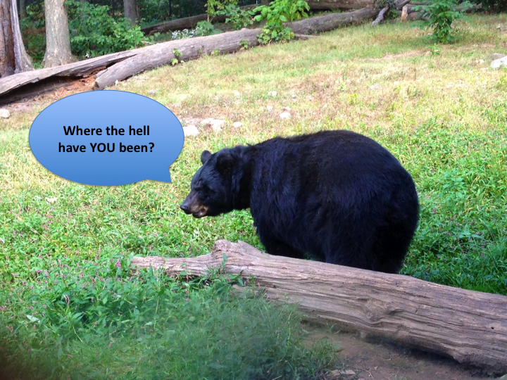 zoo-4