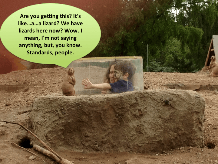 zoo-9