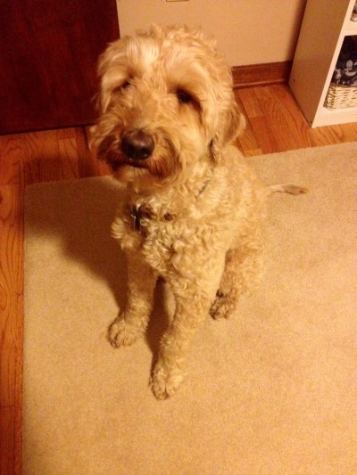 Uncle-Jesse-jealous-of-selfie