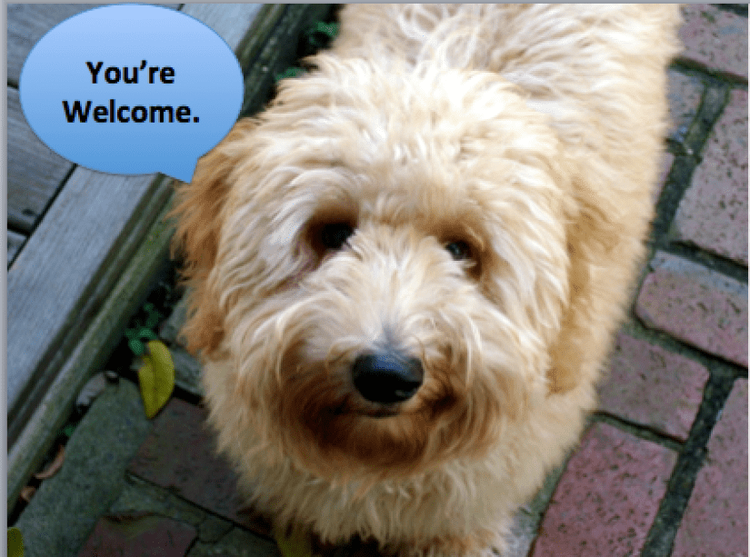 Uncle-Jesse-youre-welcome