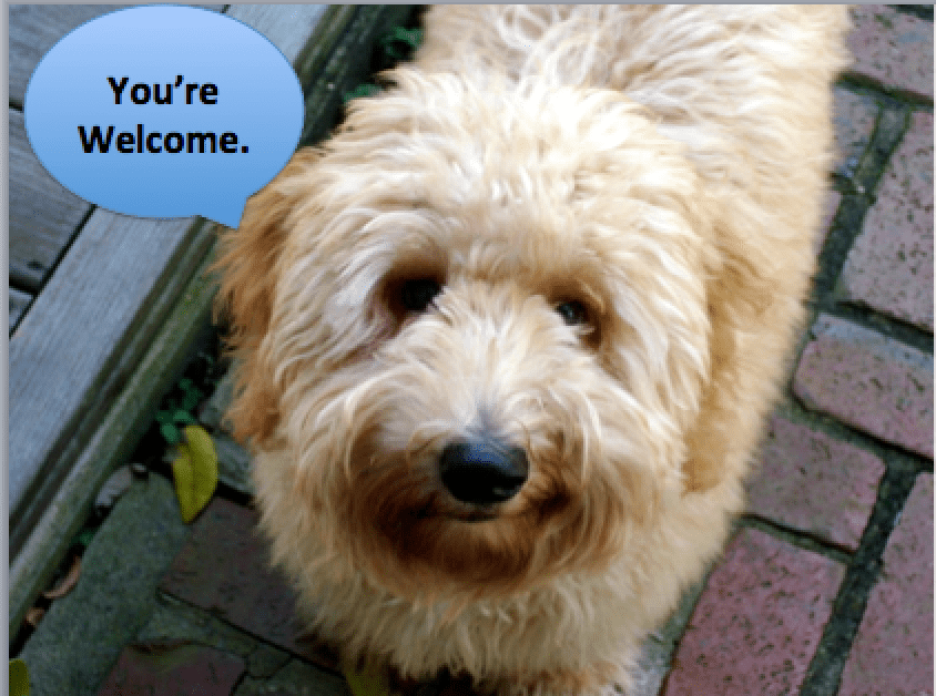 Uncle-Jesse-youre-welcome