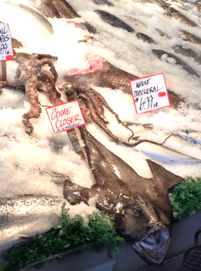 eHarmony-Frank-Pike-Place-monkfish