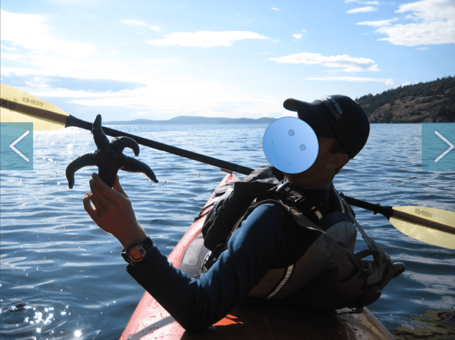 eHarmony-Frank-starfish