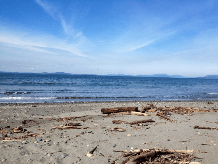 eHarmony-Frank-naval-base-beach