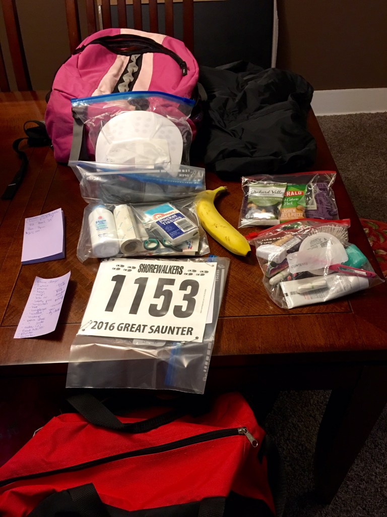 Great-Saunter-backpack