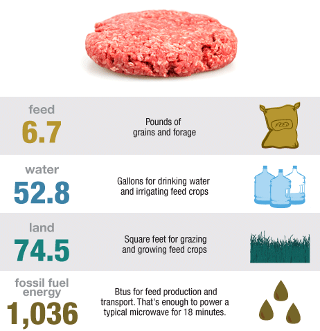 cost-of-beef