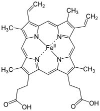 heme