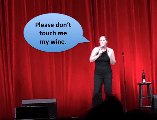 Amy-Schumer-friend.png