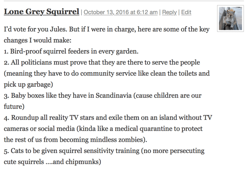 halloween-2016-lone-grey-squirrel