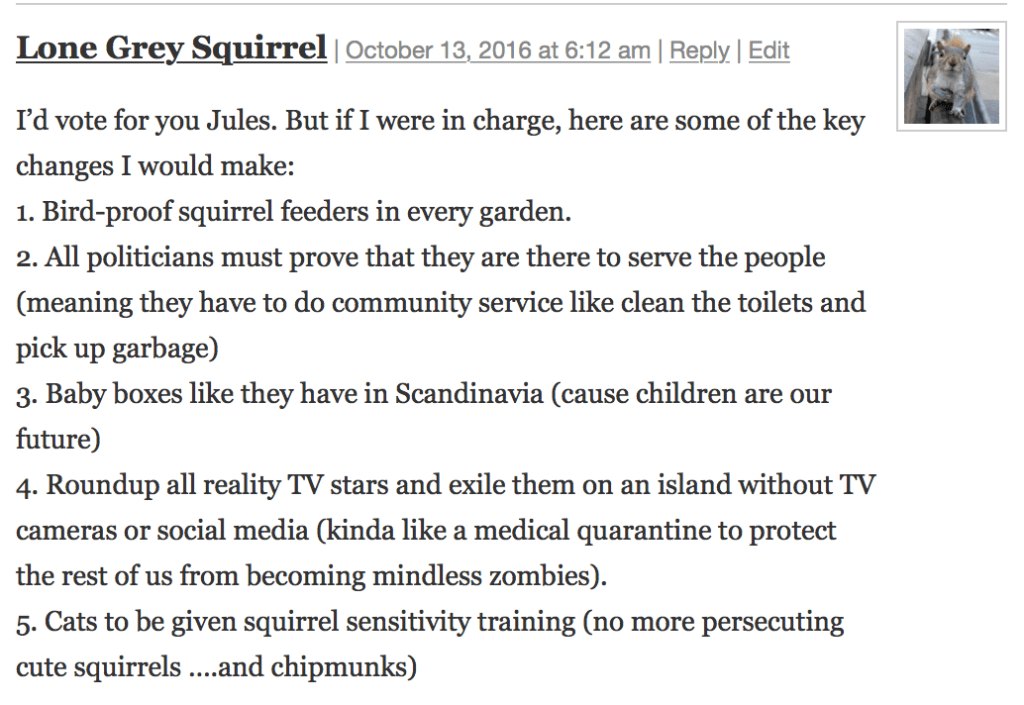 halloween-2016-lone-grey-squirrel