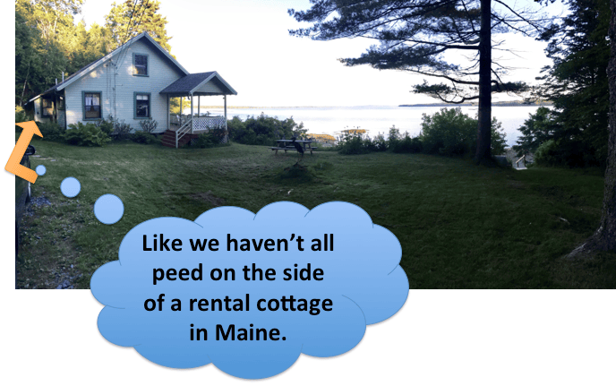 pee-cottage