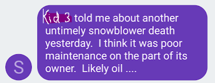 snow blower death