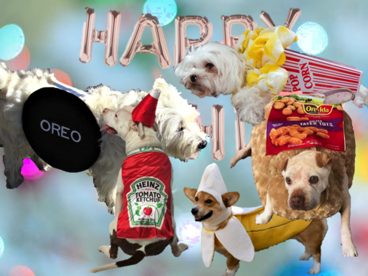 Go-Jules-Go-2018-dream-birthday-Darren-Criss-11