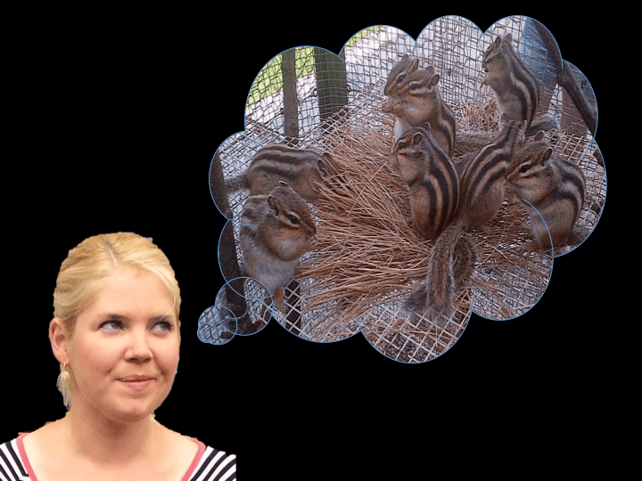 Go-Jules-Go-2018-dream-birthday-Darren-Criss-4