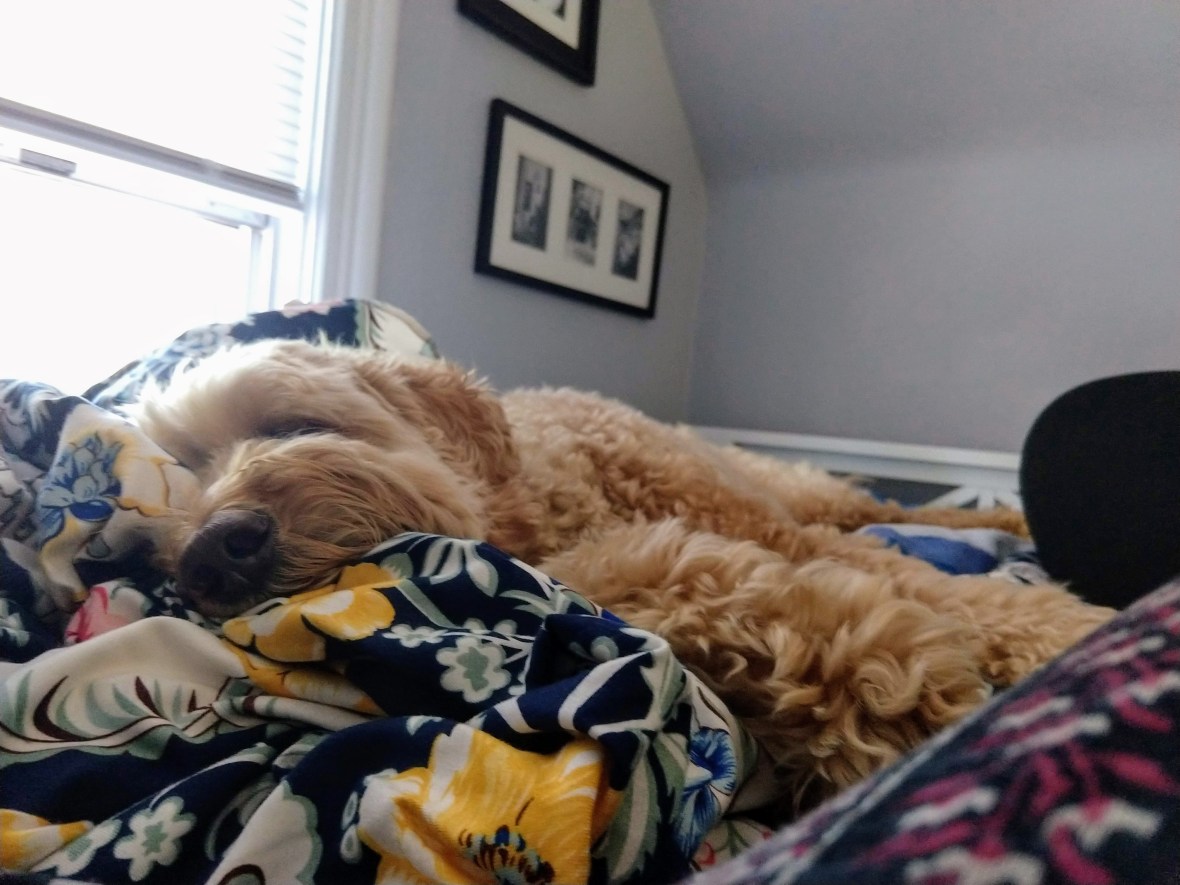 img_20180614_171659454