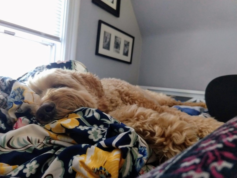 img_20180614_171659454