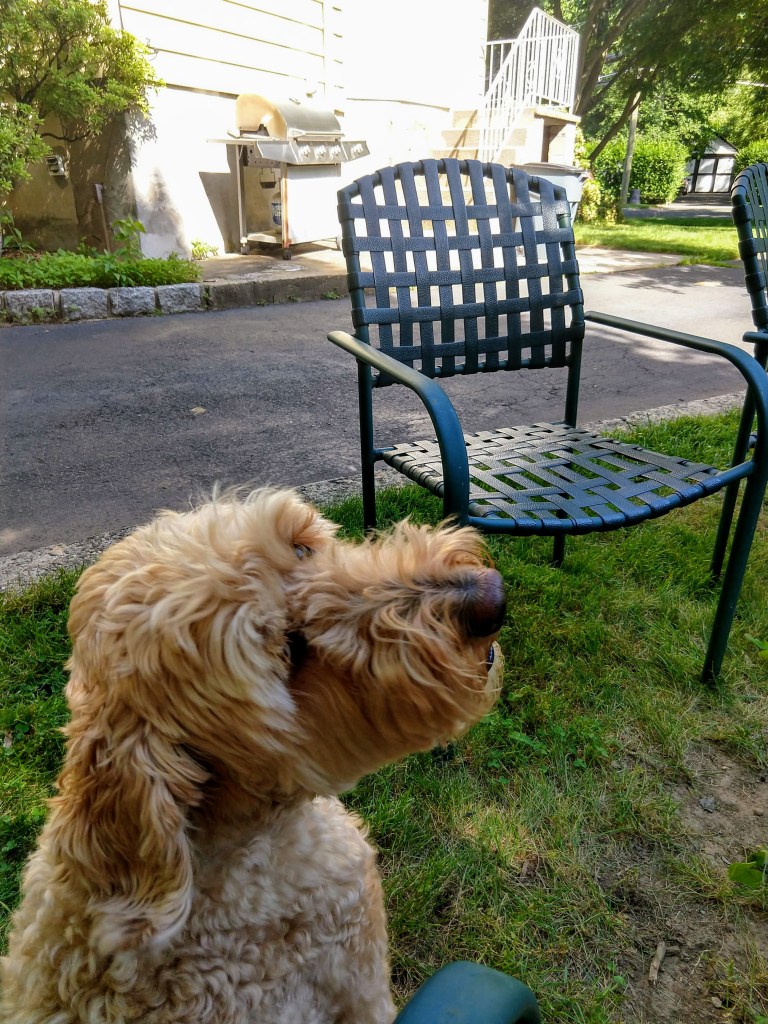 img_20180621_163432524_hdr