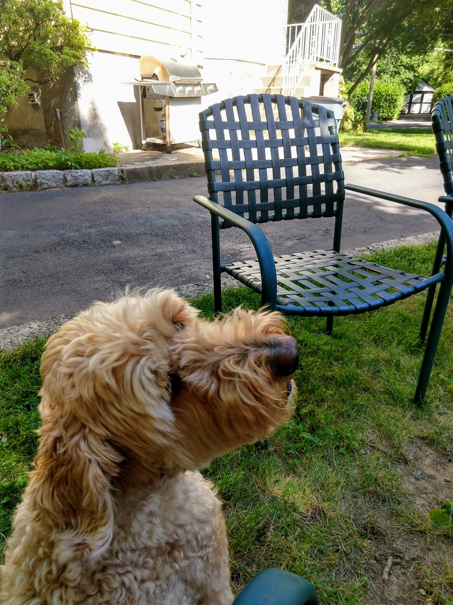 img_20180621_163432524_hdr