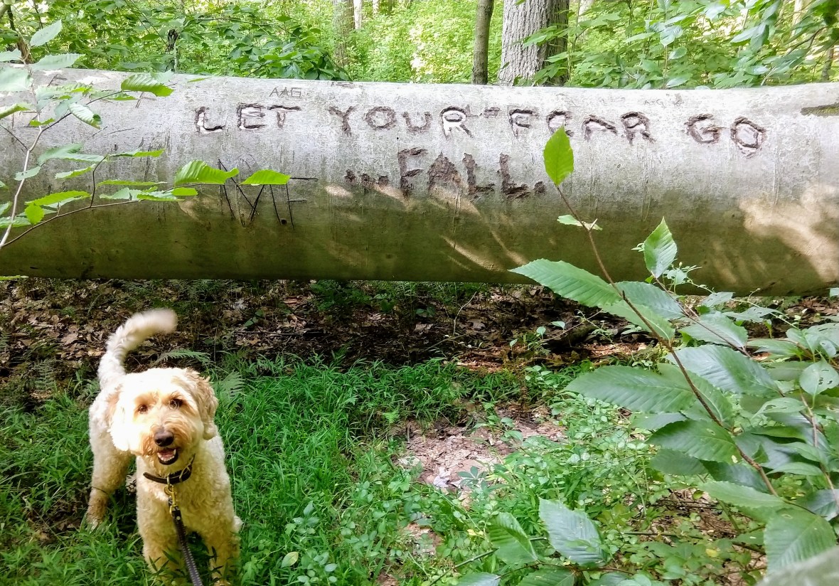 img_20180901_163428190