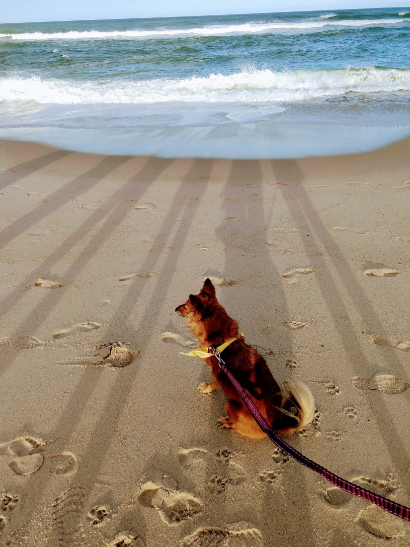 img_20180921_172317816